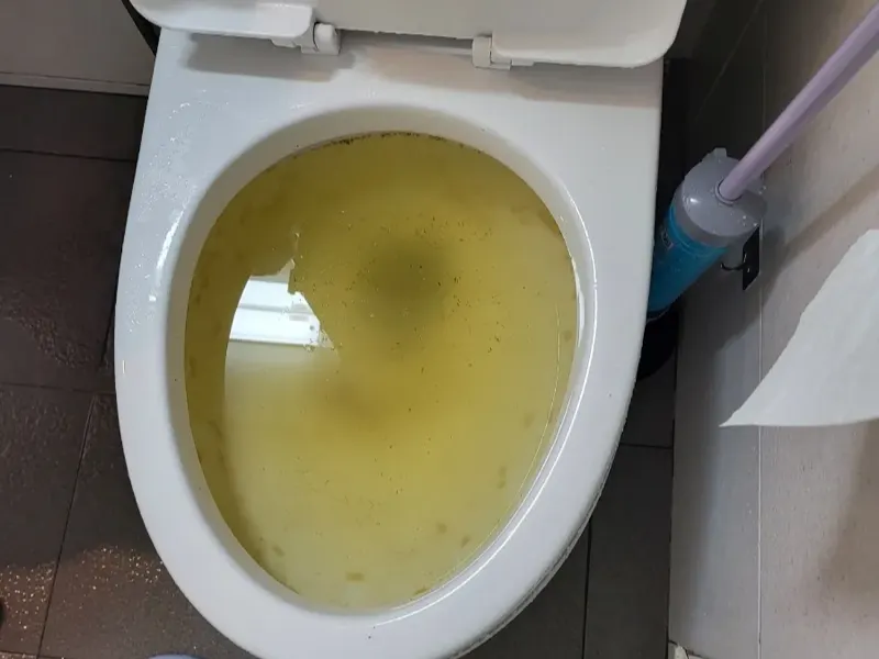 울산 북구 변기막힘 작업사례 3